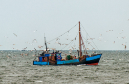 В Росрыболовстве заявили об абсолютном отсутствии интереса к сотрудничеству с Евросоюзом