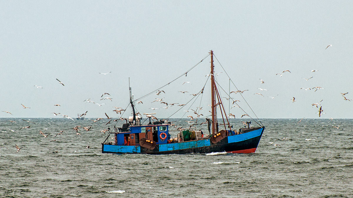 Рыболовство в Балтийском море