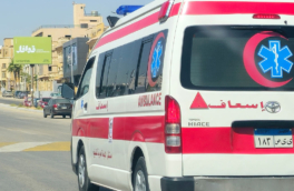 В Египте туристический автобус столкнулся с грузовиком, одна россиянка погибла