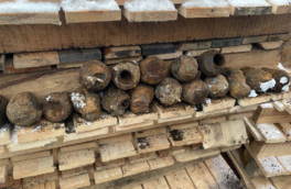 Бойцы Росгвардии обезвредили 21 боеприпас в центре Челябинска