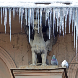 Нейросеть "Городовой" проконтролирует борьбу с сосульками в Санкт-Петербурге