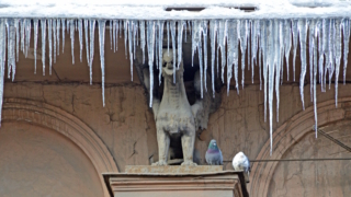 Нейросеть "Городовой" проконтролирует борьбу с сосульками в Санкт-Петербурге