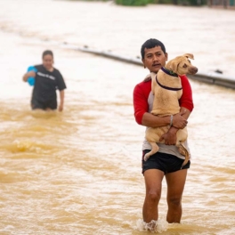 Более 600 человек погибли из-за вызванных штормом наводнений и оползней в Юго-Восточной Азии