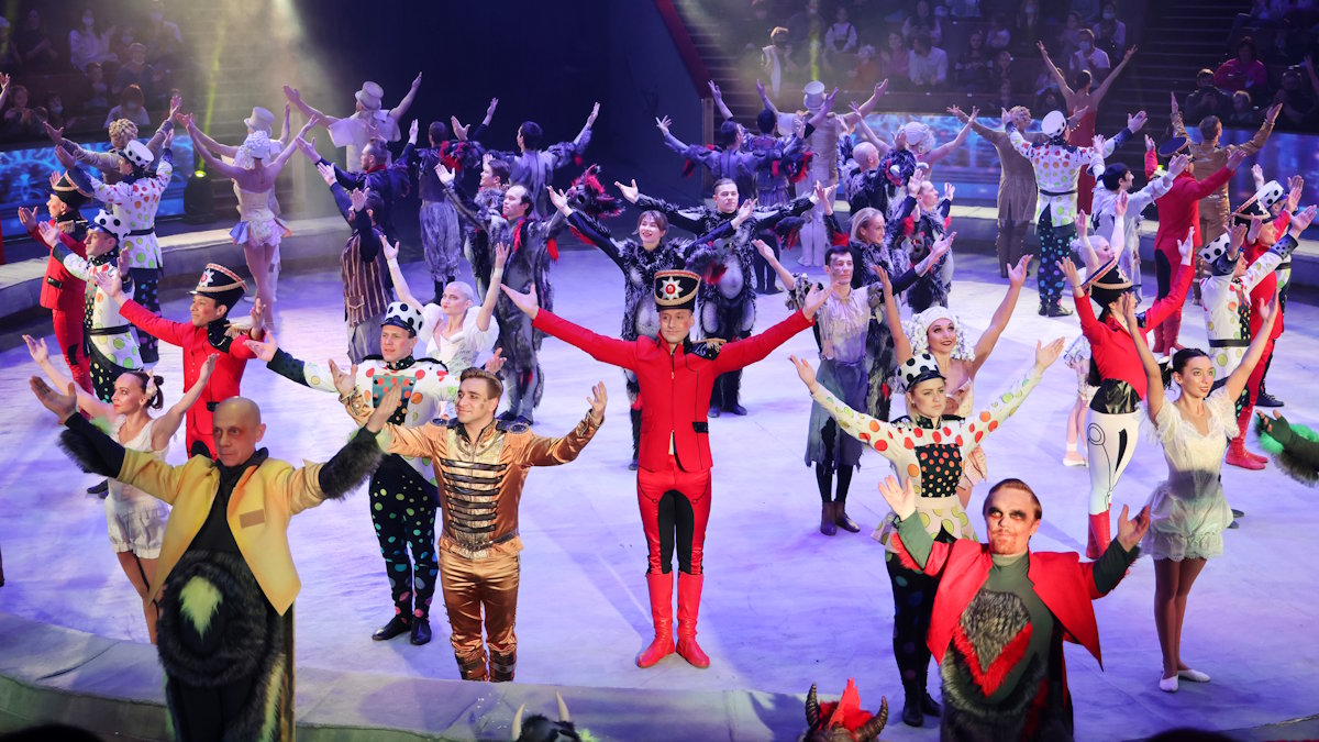 Театрализованное-цирковое новогоднее шоу "Стойкий оловянный солдатик"