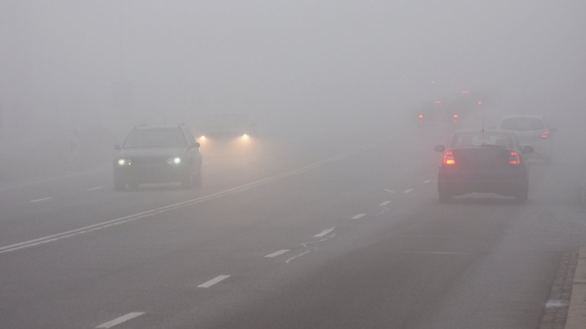 Туман ожидается в Москве и Подмосковье