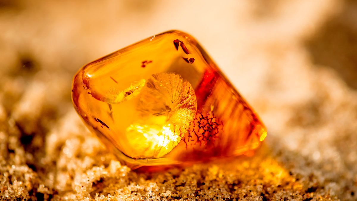 Янтарь (иллюстрация)