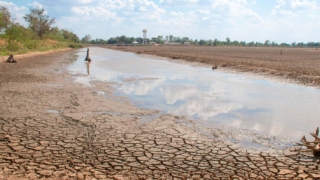 Ученые сообщили о стремительном истощении запасов воды в Европе