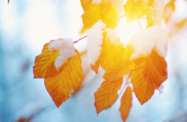 Народные приметы 27 ноября: что можно и нельзя делать в этот день