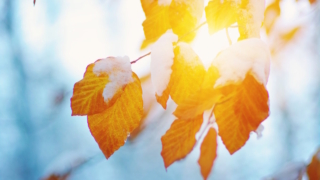 Народные приметы 27 ноября: что можно и нельзя делать в этот день