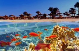 Почему в Египте нельзя купаться после захода солнца: советы туристам