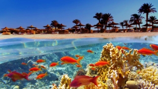 Почему в Египте нельзя купаться после захода солнца: советы туристам