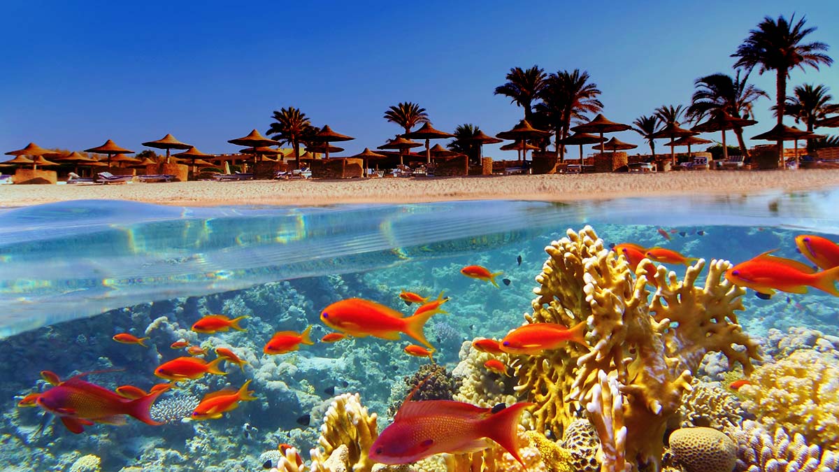 Почему в Египте не купаются после заката