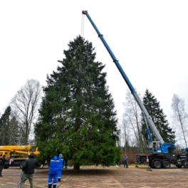 Автопоезд с главной новогодней елкой России и Дедом Морозом за рулем ожидается сегодня ночью в Москве