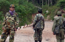 Камбоджа закрыла все погранпереходы на границе с Таиландом на фоне обострения конфликта