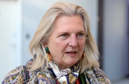 Экс-глава МИД Австрии Кнайсль назвала ключевое событие года