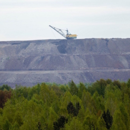 "Кузбассразрезуголь" в полтора раза увеличил площадь рекультивированных земель