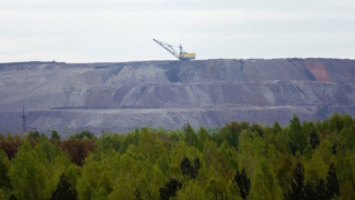 "Кузбассразрезуголь" в полтора раза увеличил площадь рекультивированных земель