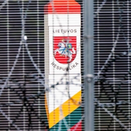 Литва аннулировала ВНЖ 145 россиянам за частые поездки в Россию и Белоруссию