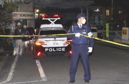 В Японии вооруженный мужчина напал на завод, пострадали 15 человек