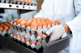 В России выявили перепроизводство яиц