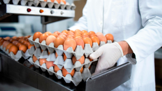 В России выявили перепроизводство яиц