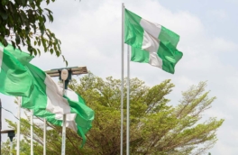 В Нигерии усомнились в заявлениях Трампа о цели ударов США по объектам в стране