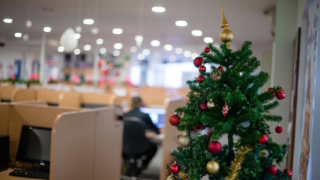 Установка новогодней елки может обернуться штрафом в треть миллиона, напоминает адвокат