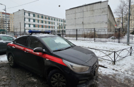 Сотрудницу охраны задержали после нападения на учительницу в школе Петербурга