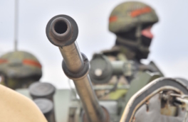 Что предусматривает подписанное Путиным соглашение России и Индии о военных контингентах