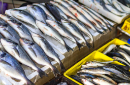 В ЕС пожаловались на "невиданные цены" на российскую рыбу перед Рождеством