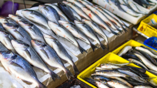 В ЕС пожаловались на "невиданные цены" на российскую рыбу перед Рождеством