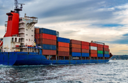 Турецкую систему контроля судоходства распространят на Чёрное море