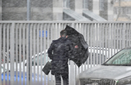 В Подмосковье ожидаются снегопад и метель в ночь на пятницу