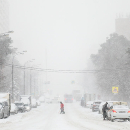 Зима в Москву придет постепенно: вслед за теплым ноябрем синоптики обещают мягкий декабрь