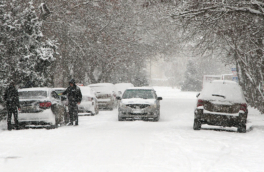 Новый год в Крыму будет со снегом впервые с 2017 года