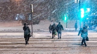 Сильный снегопад и оттепель с ледяным дождем: какую погоду прогнозируют синоптики в Москве на следующей неделе