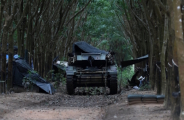 В МВД Камбоджи назвали действия армии Таиланда военными преступлениями