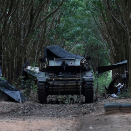 В МВД Камбоджи назвали действия армии Таиланда военными преступлениями