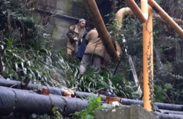 Кадетский корпус и здание техникума получили повреждения в Туапсе после атаки БПЛА