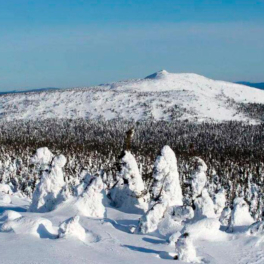 Пропавших в Пермском крае туристов будут искать с помощью беспилотника