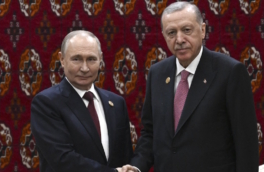 Путин и Эрдоган обсудили планы ЕС о "грандиозном жульничестве" с активами России