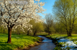 Народные приметы 27 февраля: что можно и нельзя делать в этот день