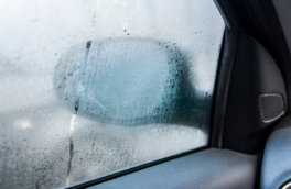 Как предотвратить запотевание стекол в машине: простой трюк вместо автохимии