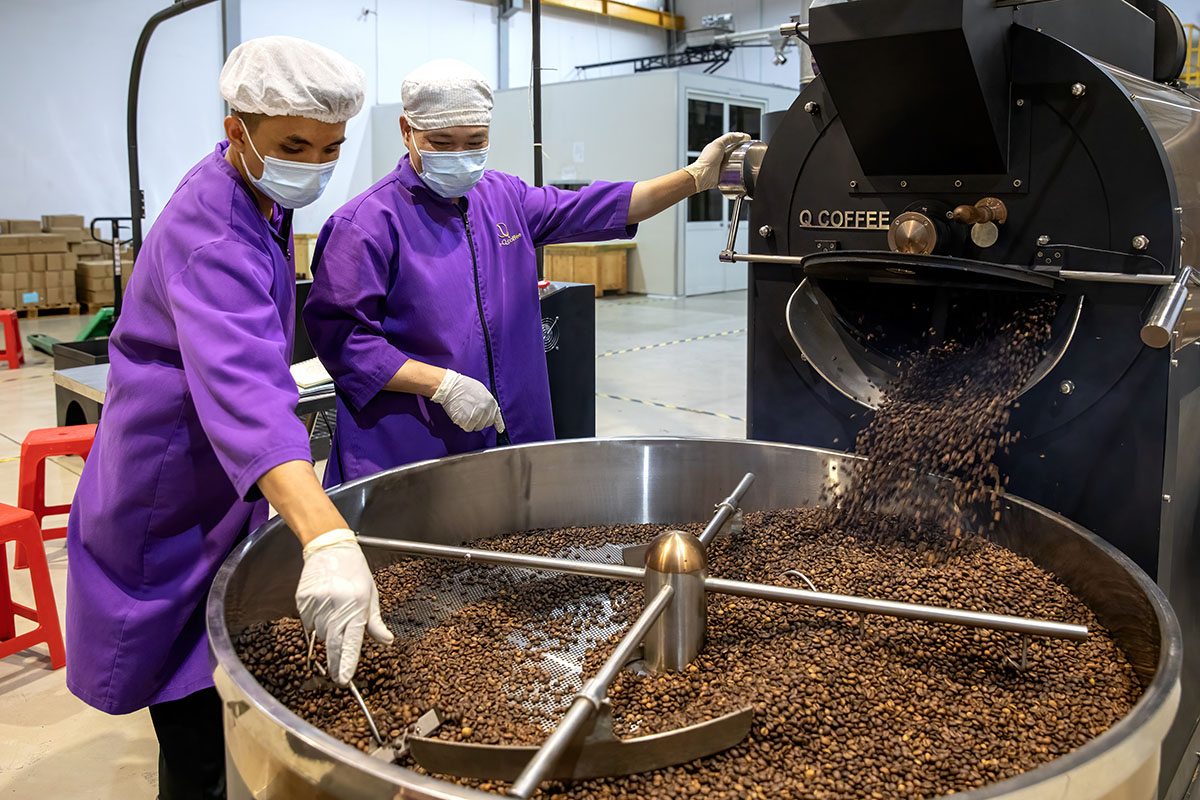 Обработка кофейных зерен робусты во время процесса охлаждения на кофейной фабрике Tran-Q Co. , Вьетнам