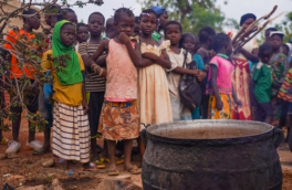 Летом 2026 года голод в Западной и Центральной Африке грозит 55 млн человек – ООН