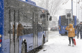Сотни автобусных рейсов отменены в Кузбассе из-за аномальных морозов