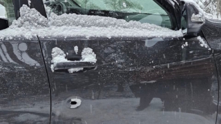 В Ленобласти охотник принял автомобиль за лося и смертельно ранил пассажира