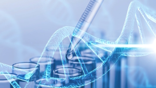 Законопроект о геномной регистрации военных одобрили в правительстве РФ