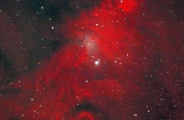 Роскосмос показал фото красной "Рождественской елки"