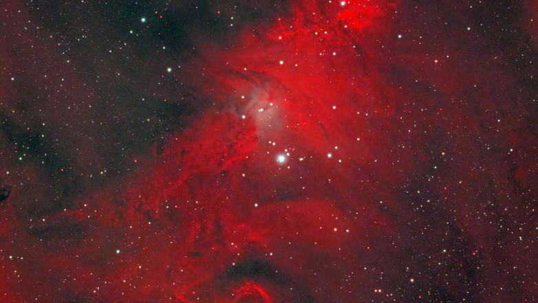 Роскосмос показал фото красной "Рождественской елки"